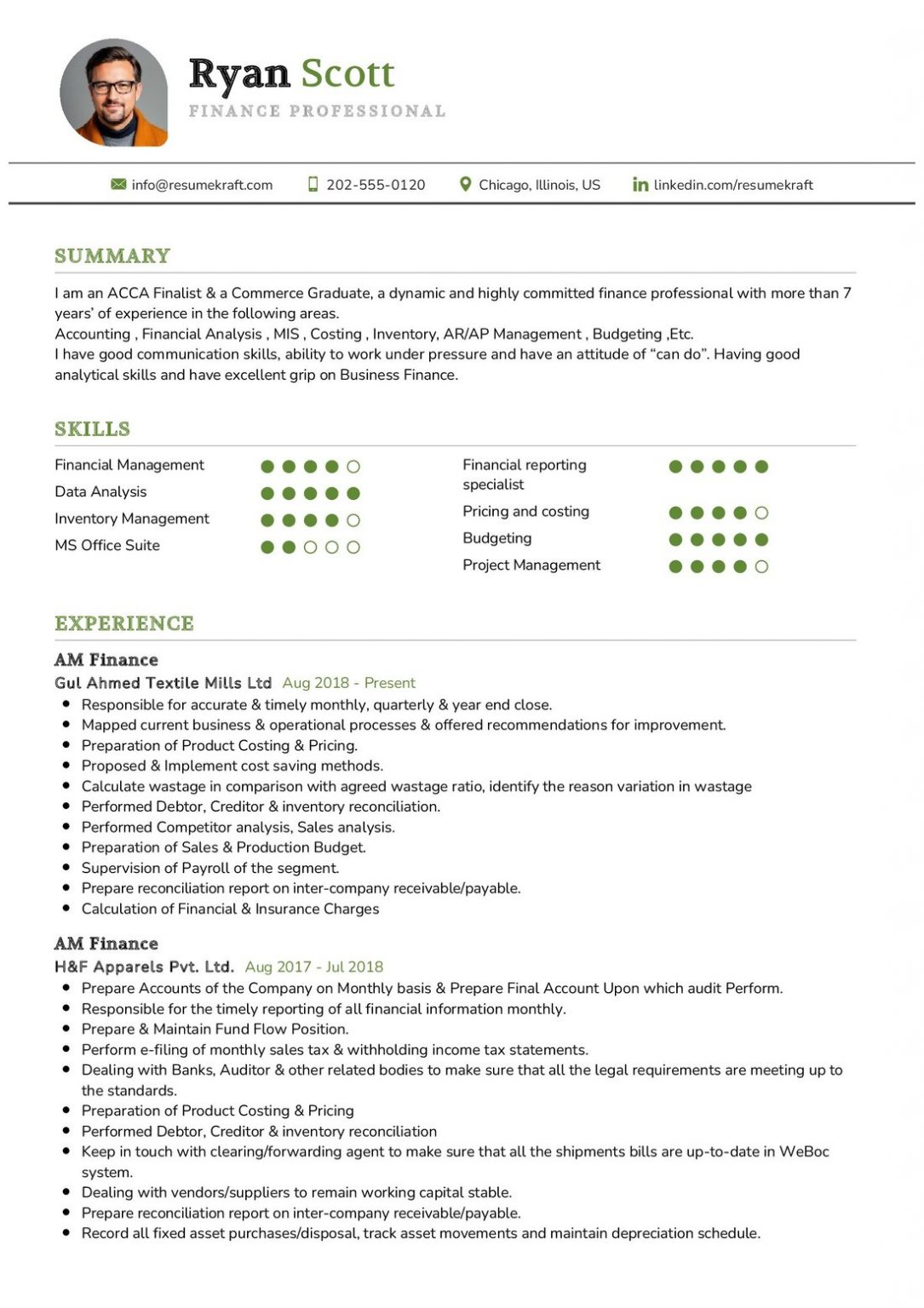 Professional Resume Samples In Resumekraft