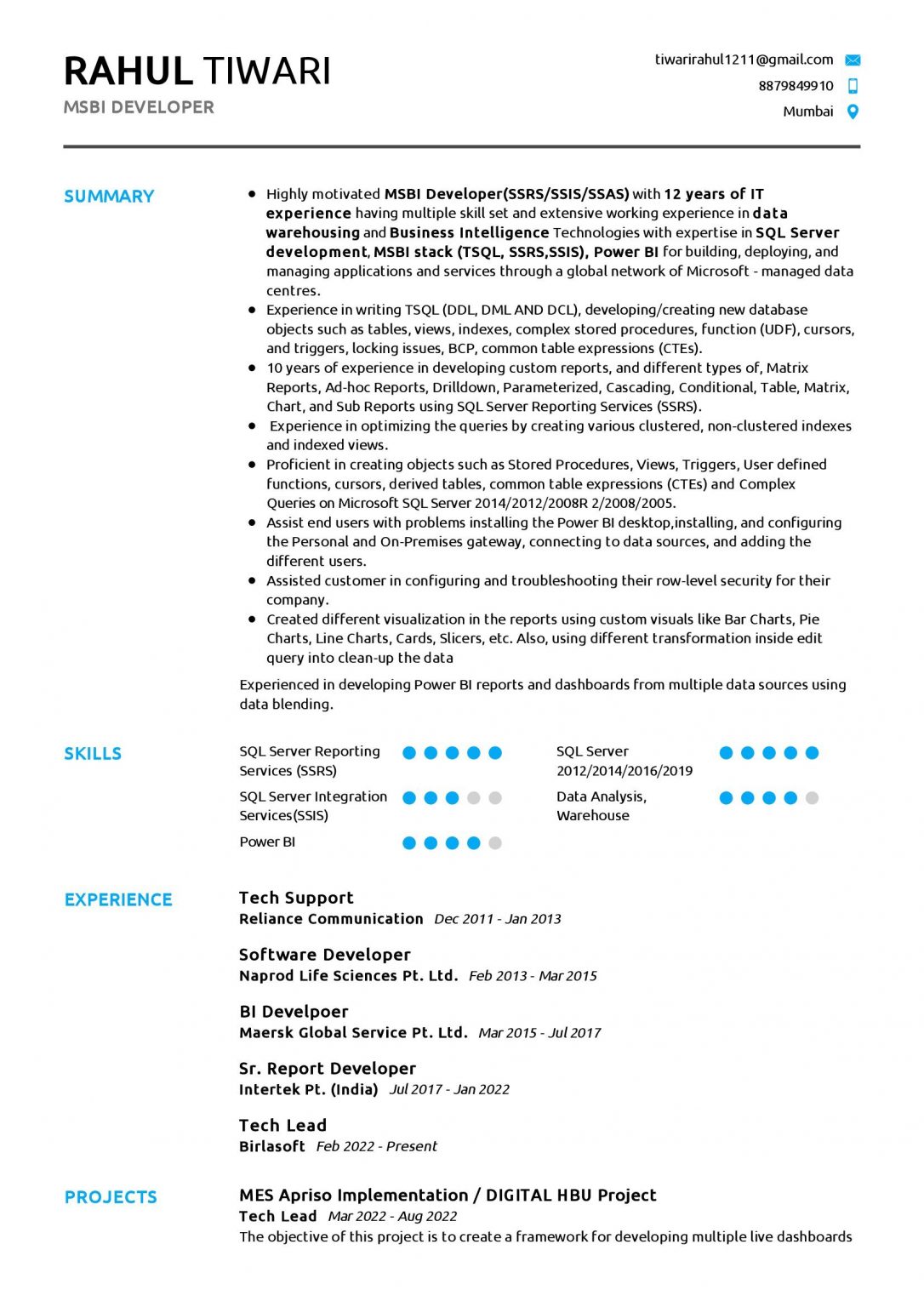 Professional Resume Samples In Resumekraft