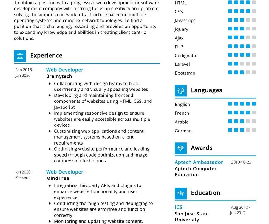 Web Developer CV Example In 2024 ResumeKraft