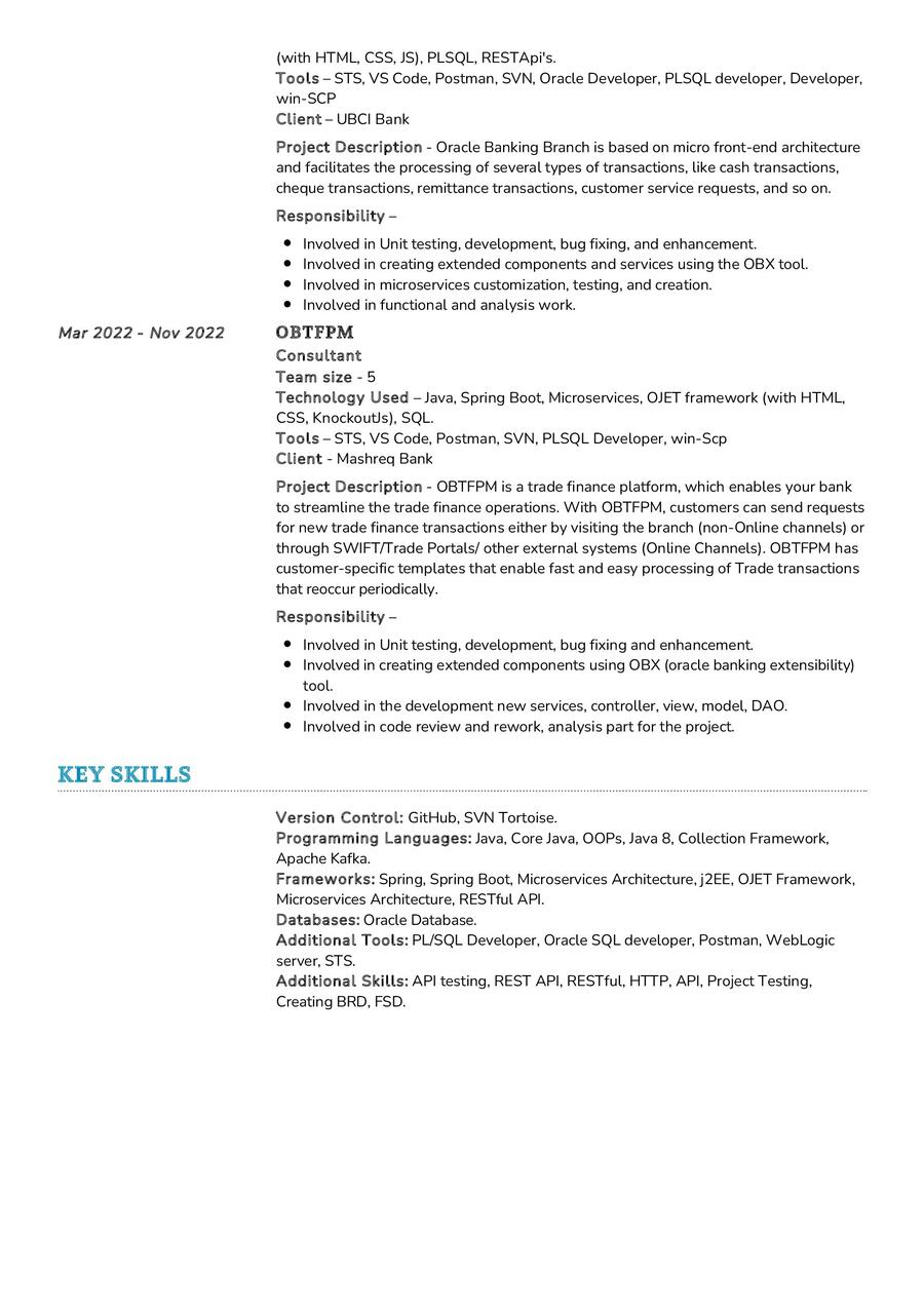 Consultant CV Sample In 2024 ResumeKraft