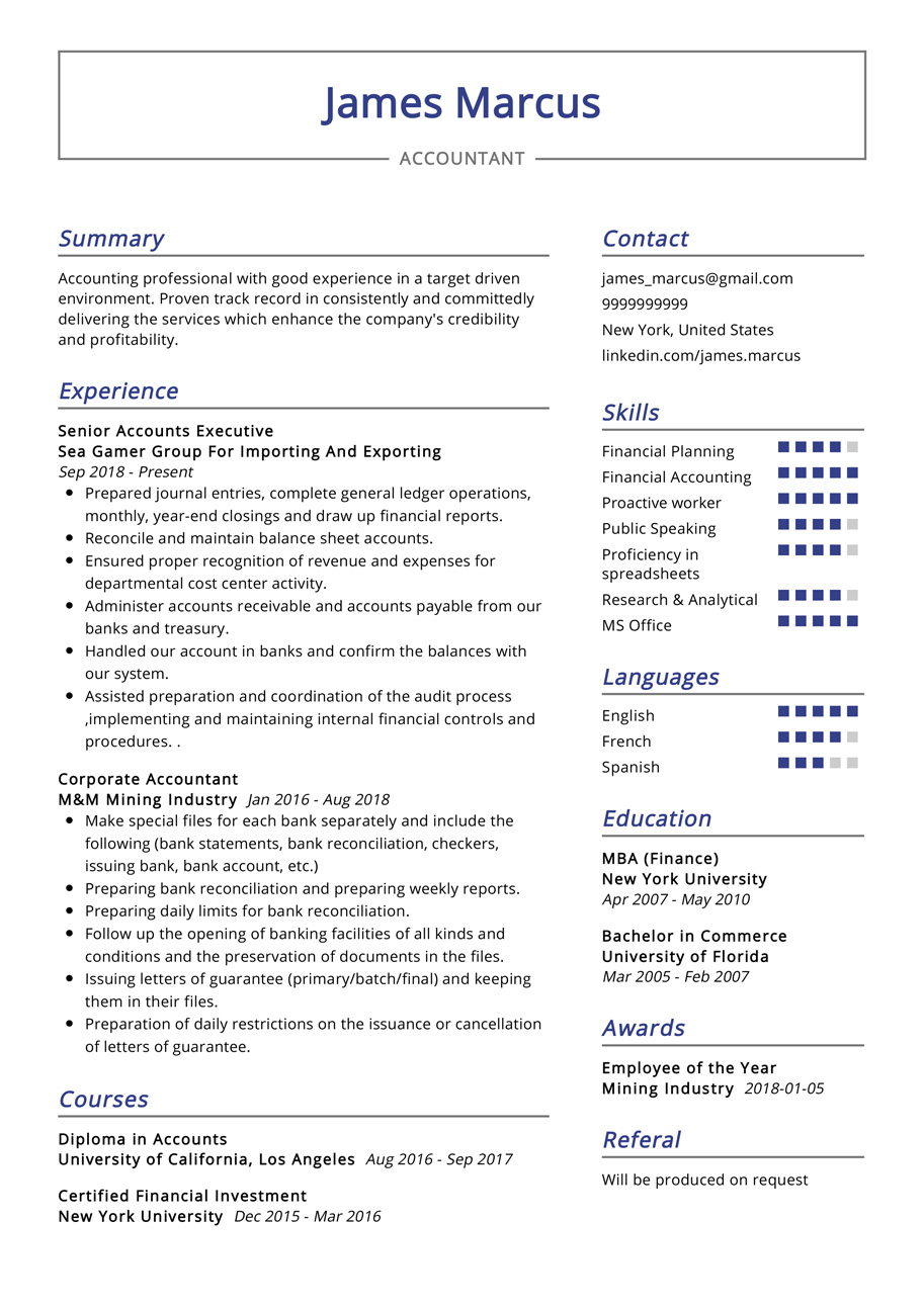 Professional Accounting Resume Templates   Accountant Resume Example 