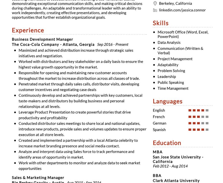 business development manager resume example