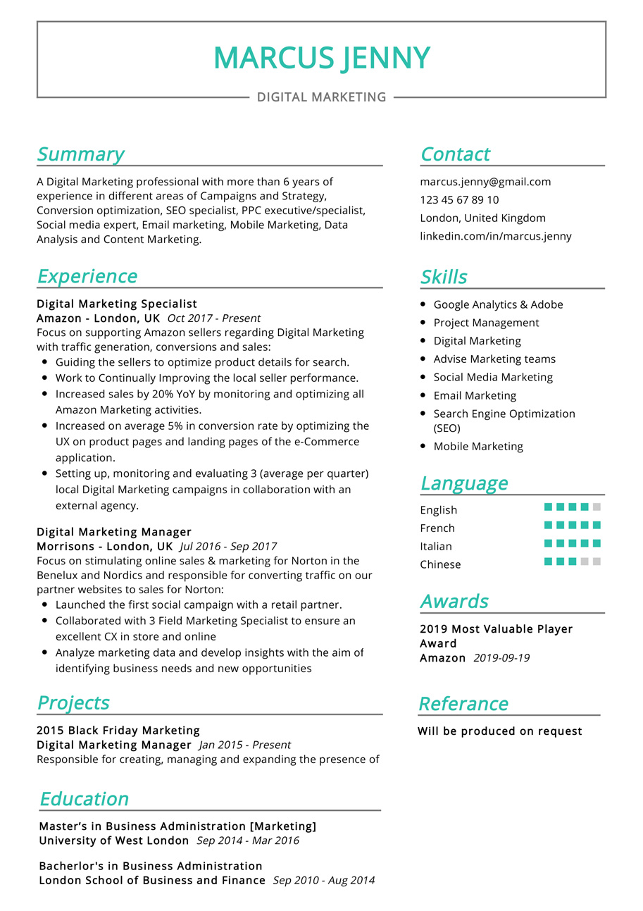 Professional Marketing Resume Examples - Best Resume Examples