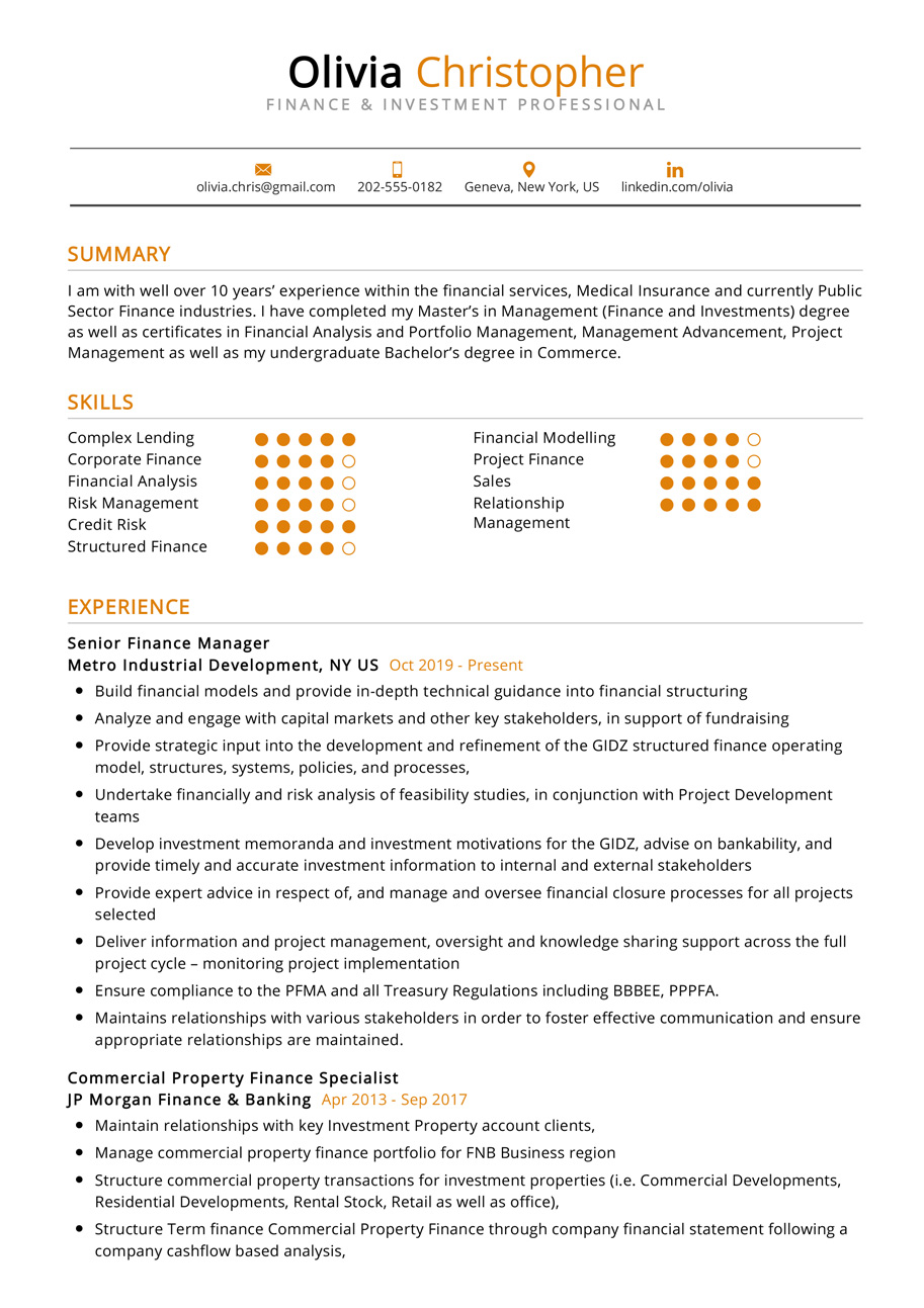 Finance & Investment Professional Resume Example in 2024 - ResumeKraft