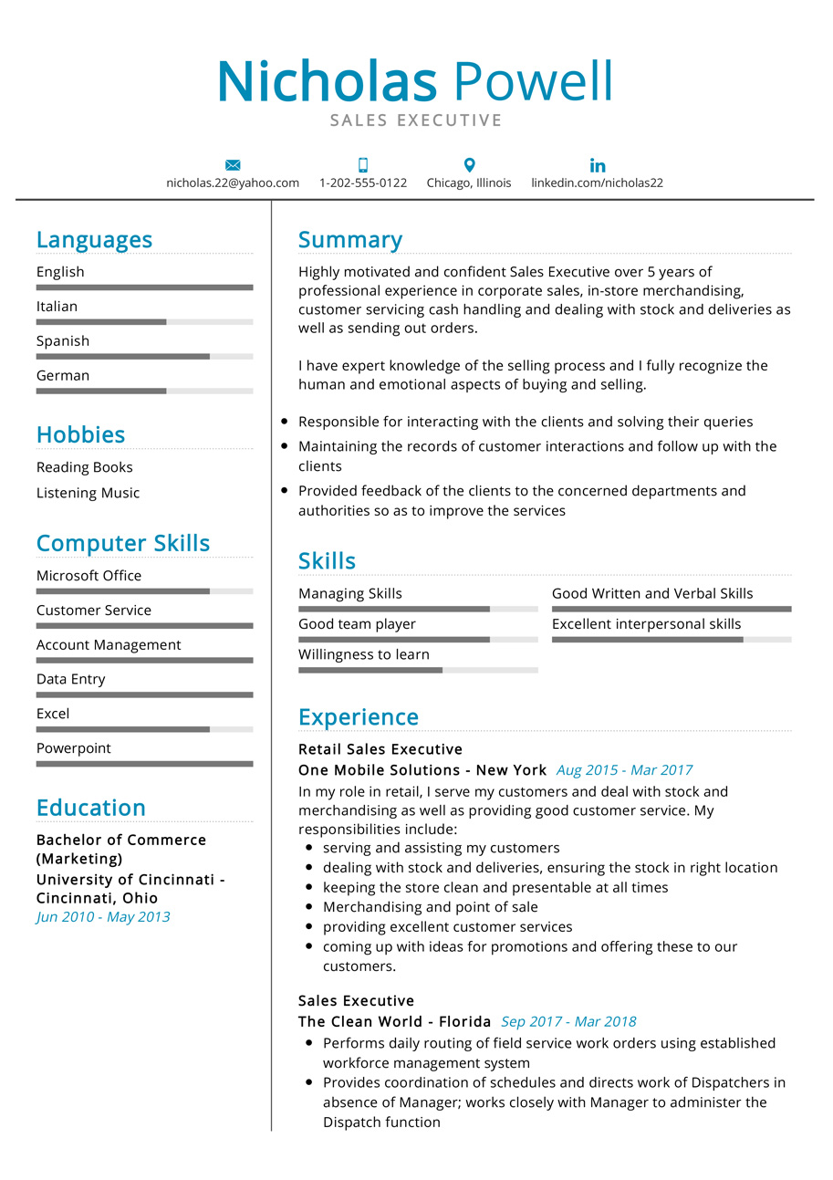 Sales Executive Resume Example | CV Sample [2020 ...