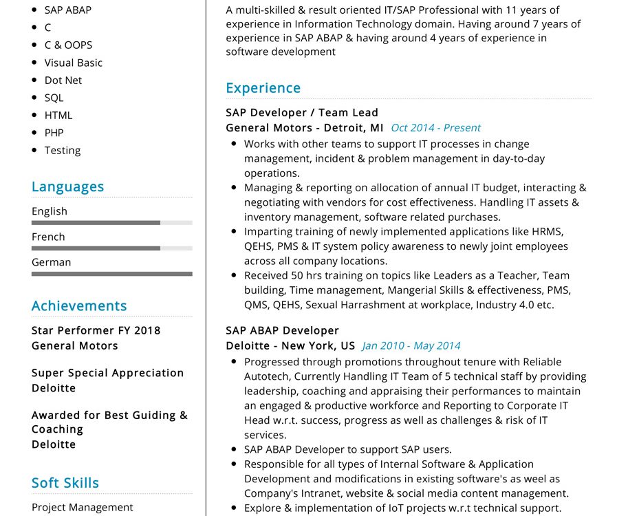 sap professional resume format