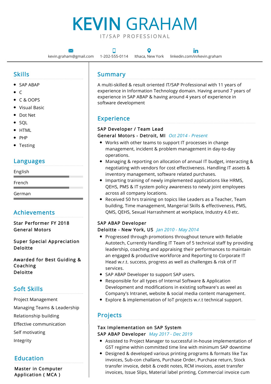 Professional SAP Resume Sample | CV Sample [2020 ...