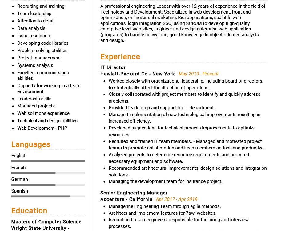 IT Director Resume Example in 2024 ResumeKraft