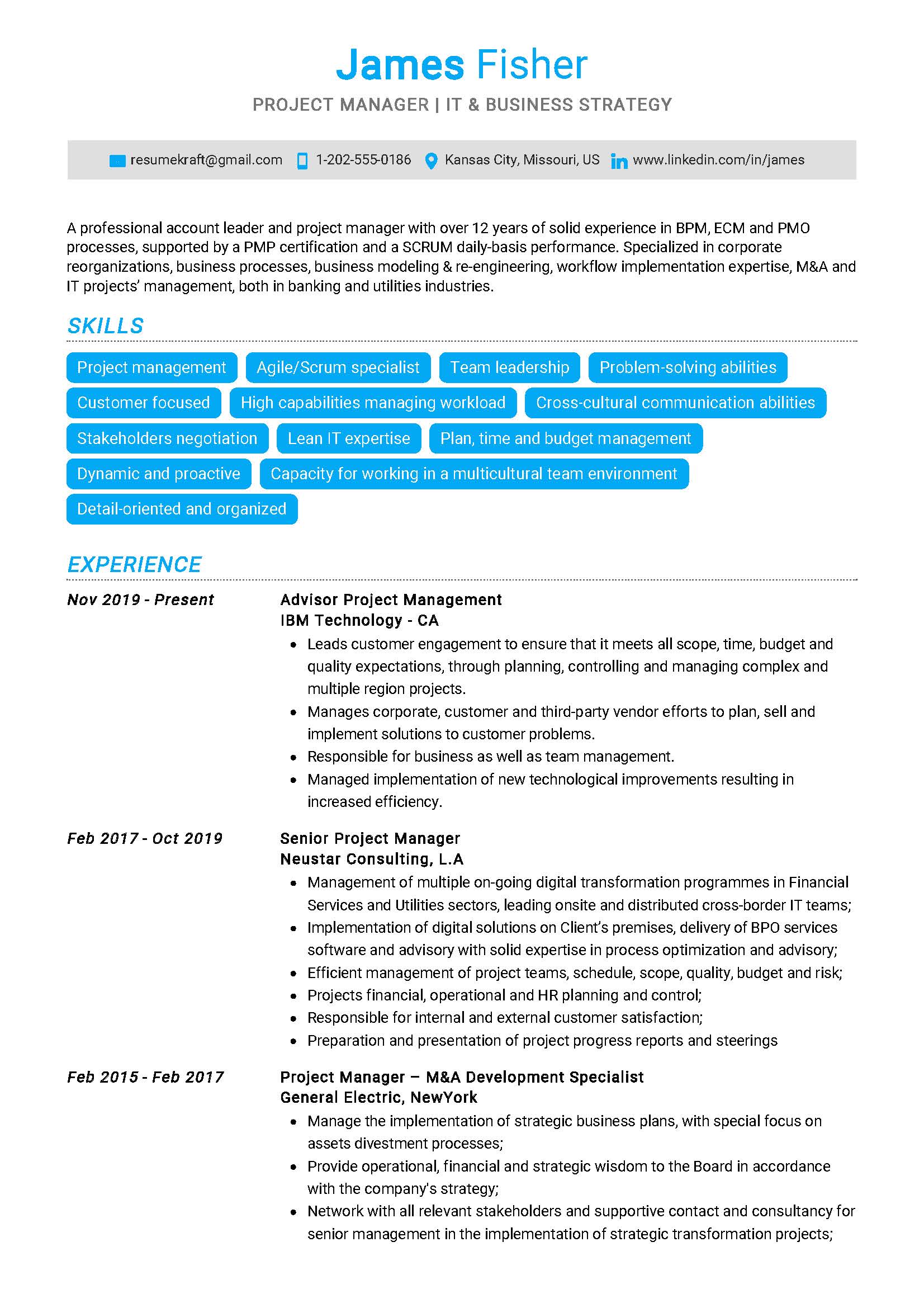 Project Manager Resume Statement