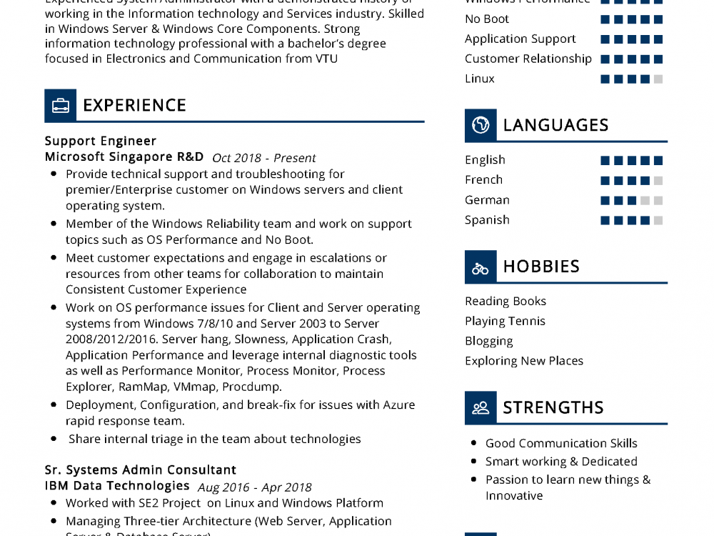 support engineer resume example