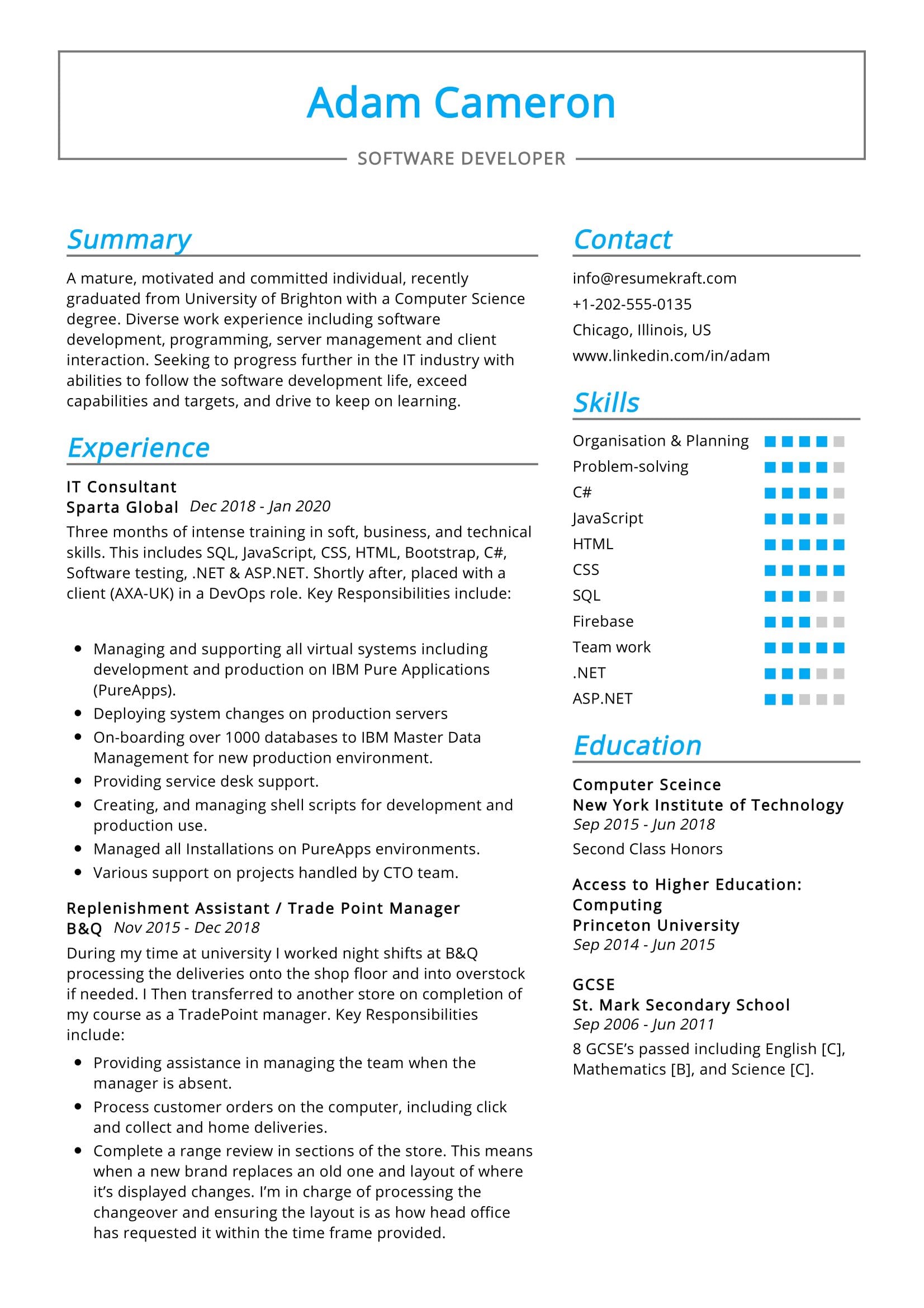 IT Consultant Resume Sample 0001 