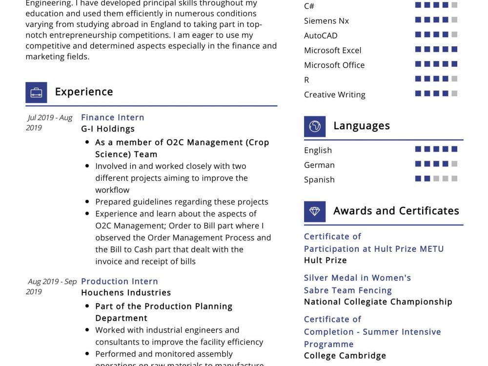 industrial resume format