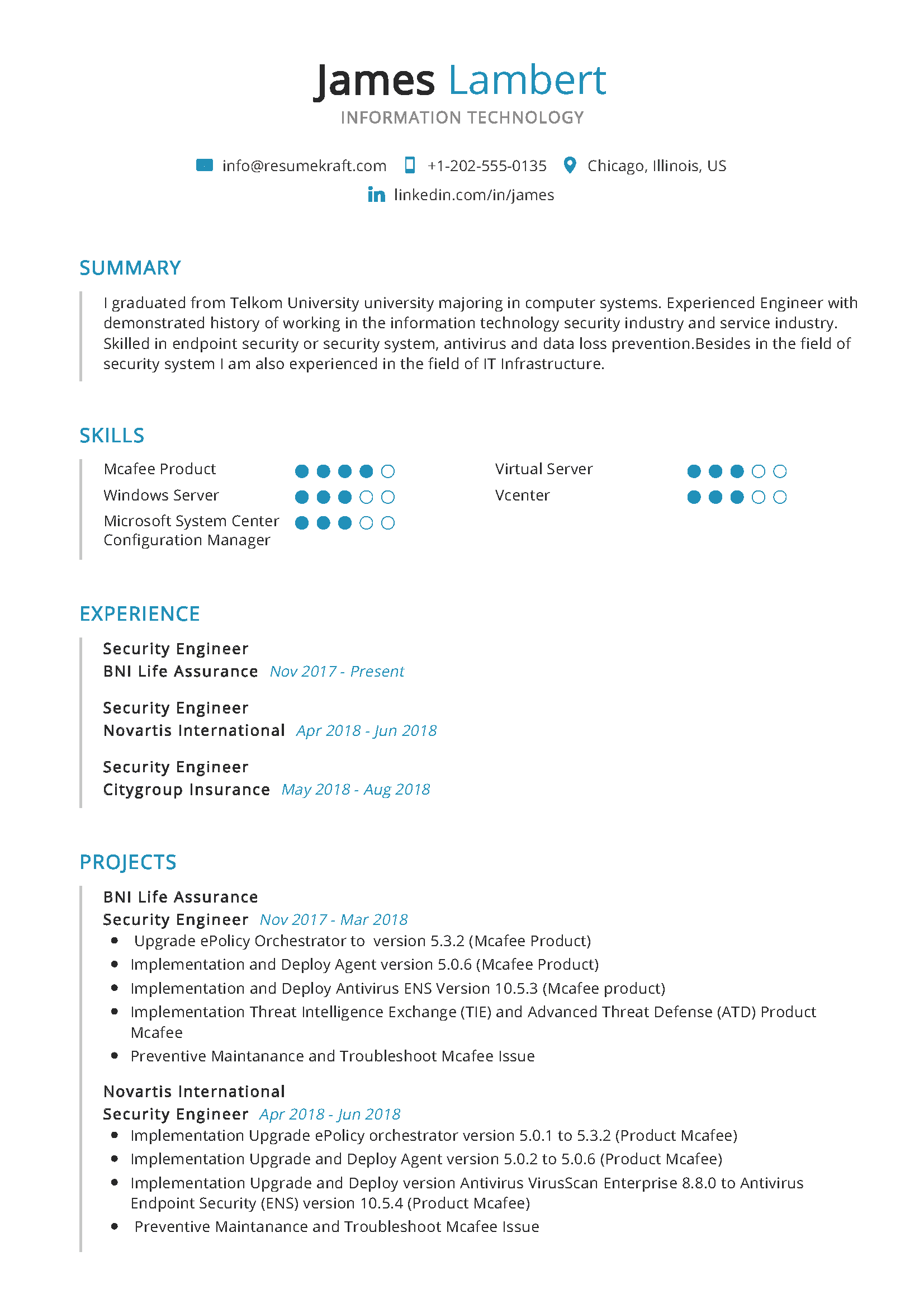 Information Technology Resume Template