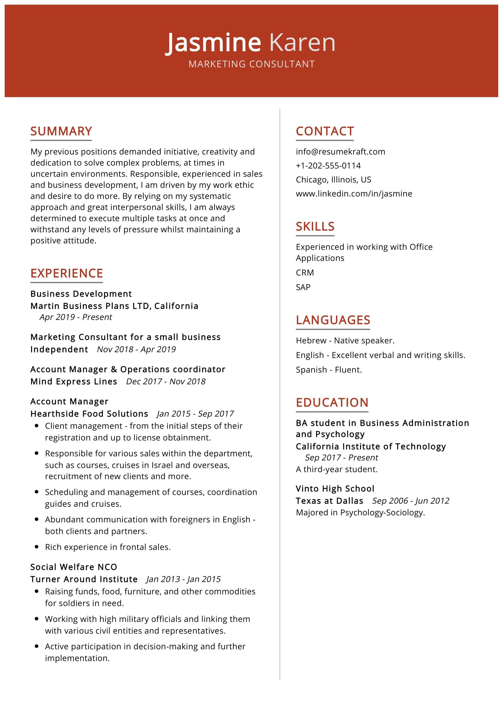 Consultant Resume Template Download Prntbl concejomunicipaldechinu gov co