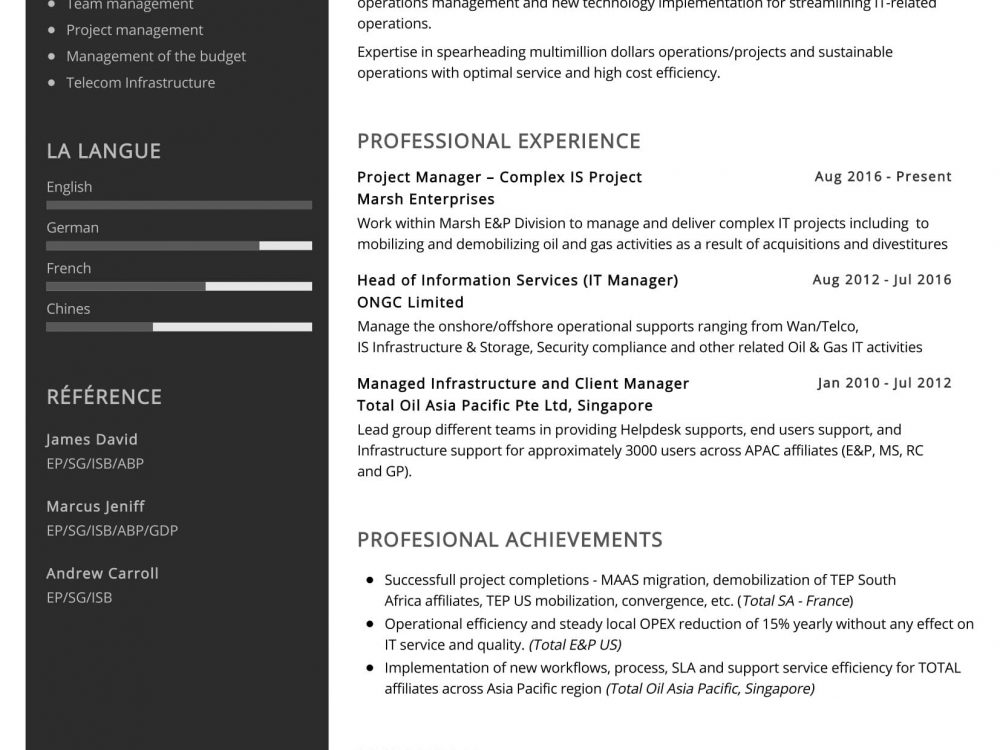 IT Project Manager Resume Sample