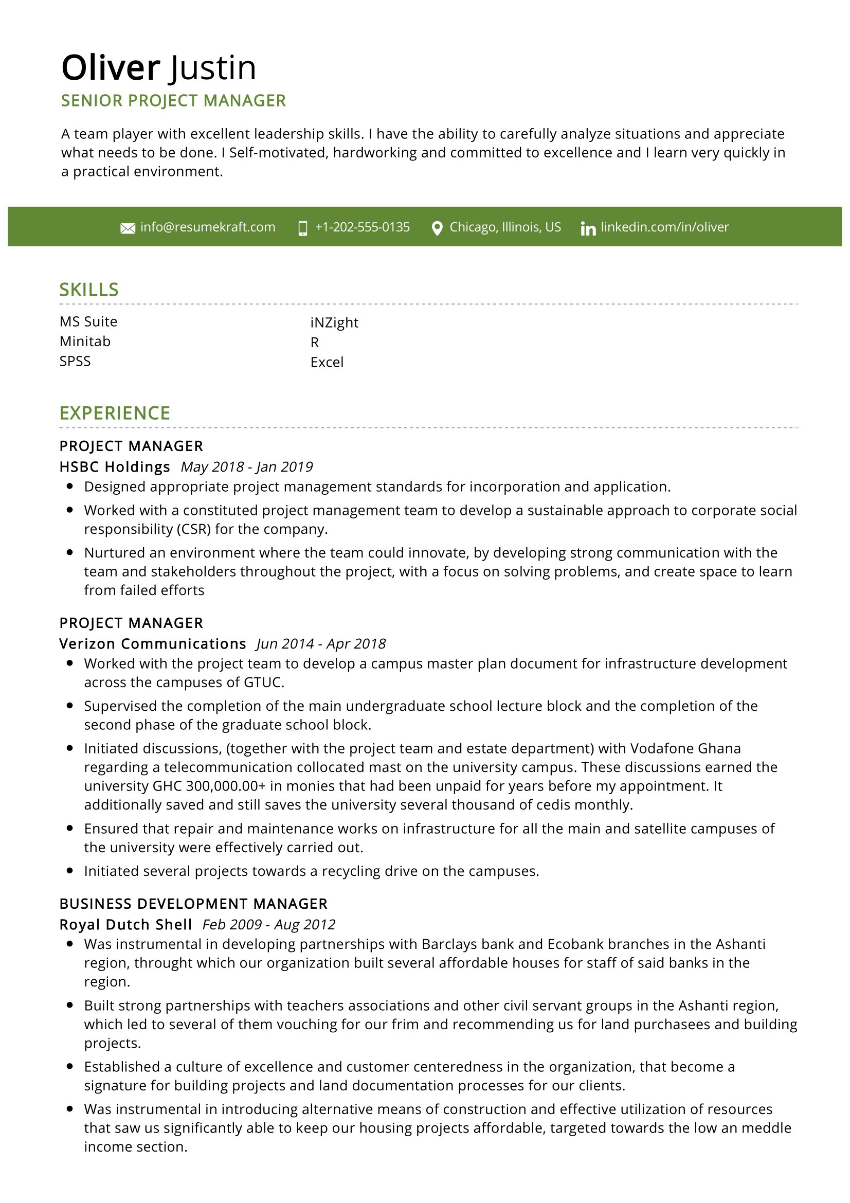 it project manager resume sample