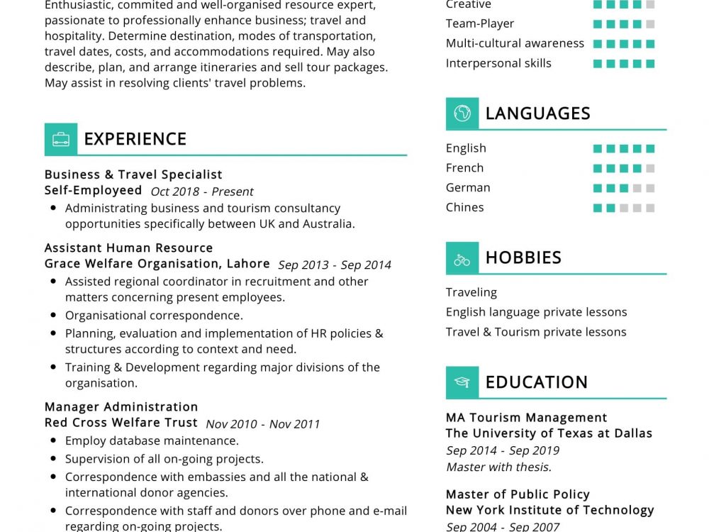 Travel Agent Resume Sample