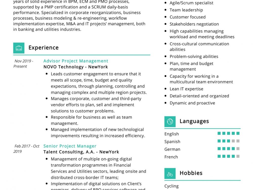 Business Strategy Resume Sample
