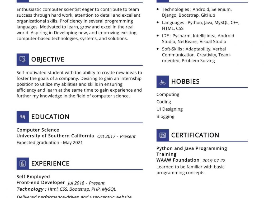Freelance UI Developer Resume
