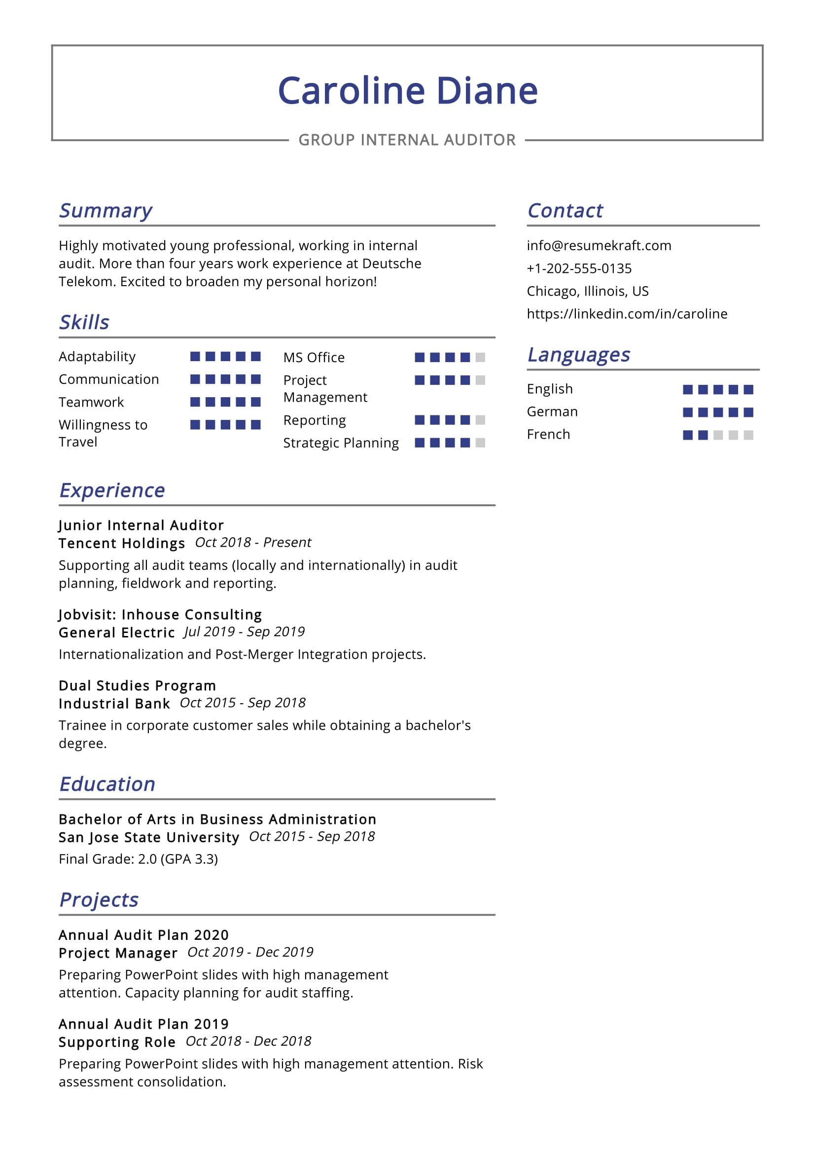 Group Internal Auditor Resume Sample - ResumeKraft