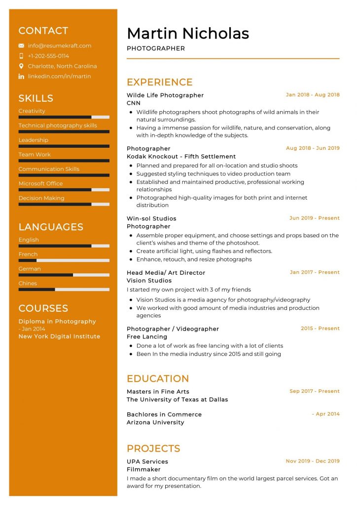 Creative Field Resume Examples 2021 - ResumeKraft