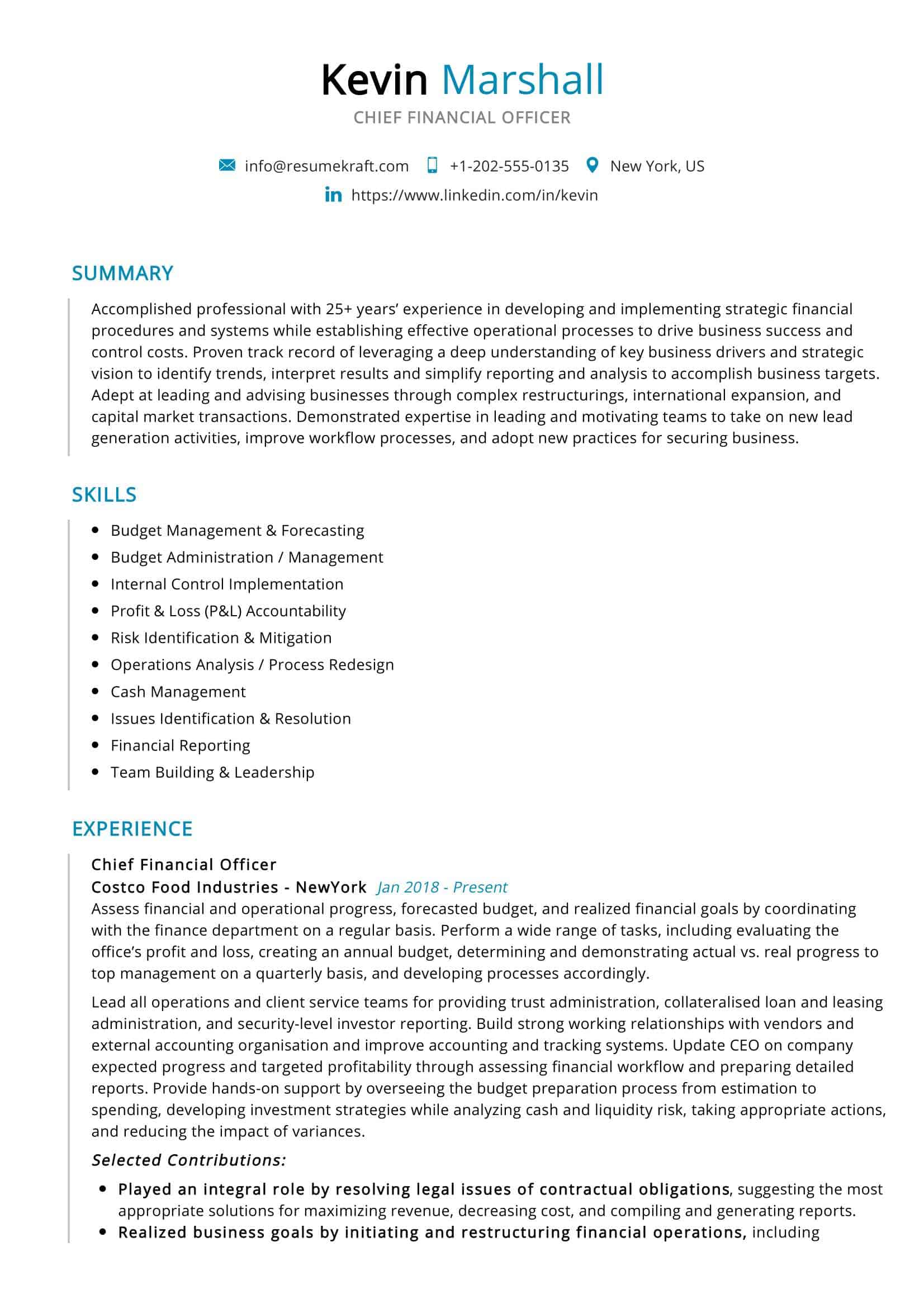 Chief Financial Officer Resume Sample