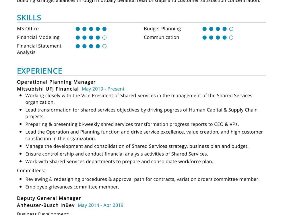 Operational Planning Manager Resume