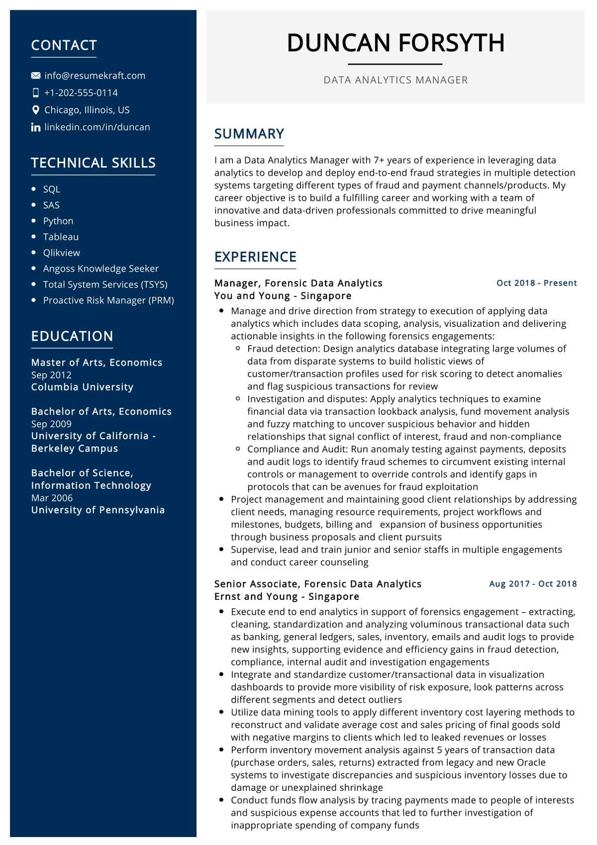 data analysis project in resume