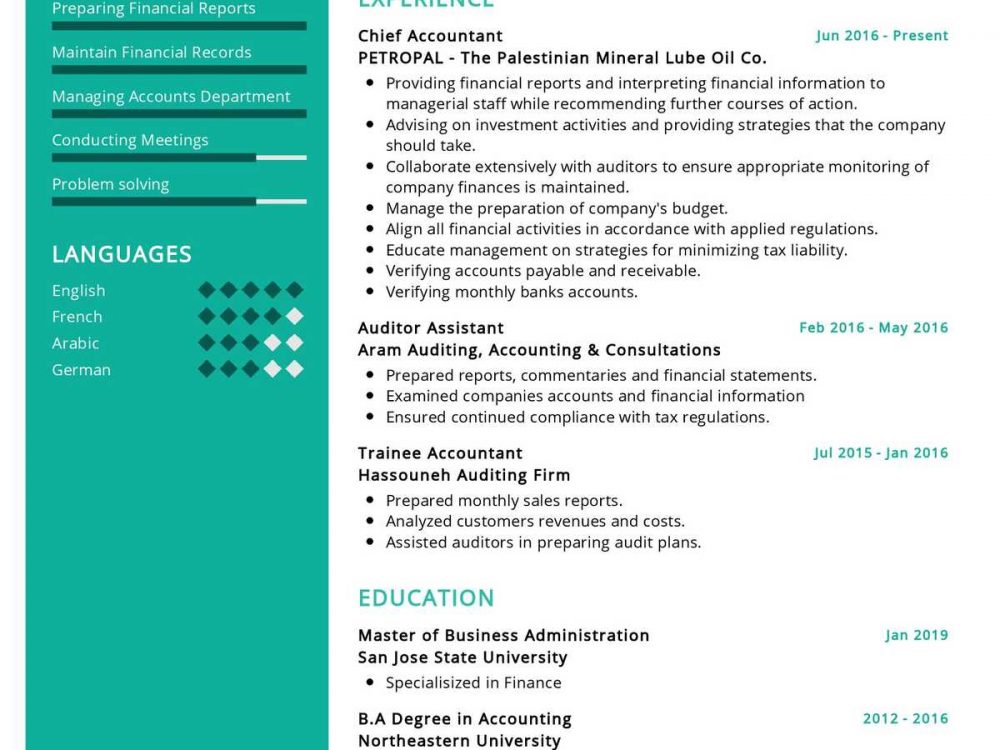  Chief Accountant Resume Sample In 2024 ResumeKraft