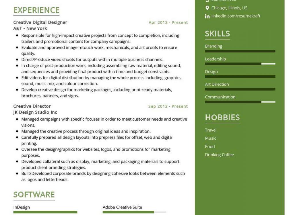 Digital Designer Resume Sample