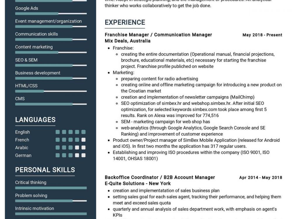 Franchise Manager Resume Sample