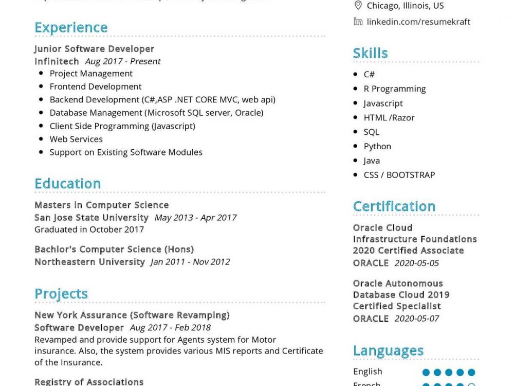 Junior Software Developer Resume