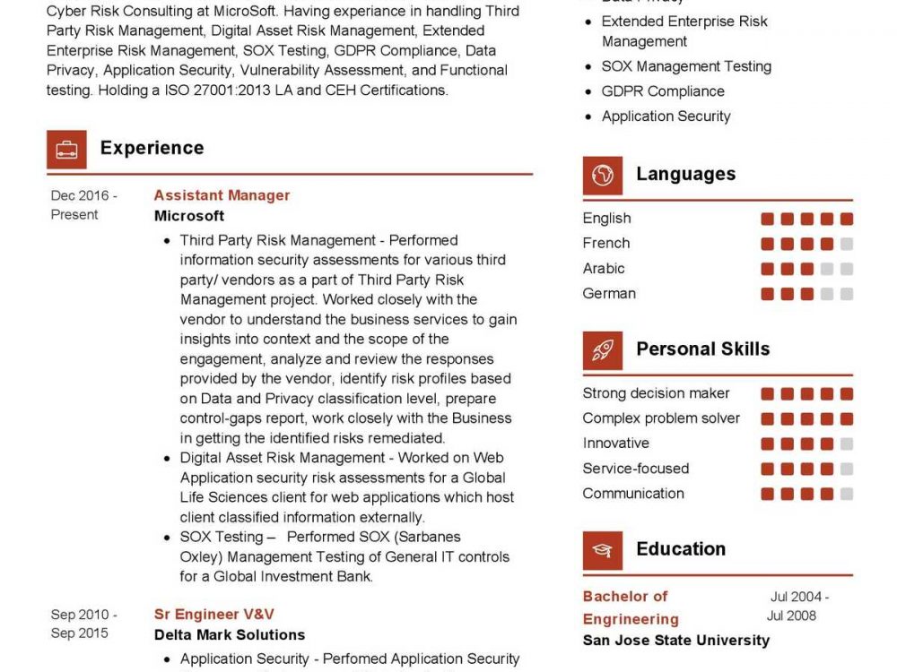 Risk Manager Resume