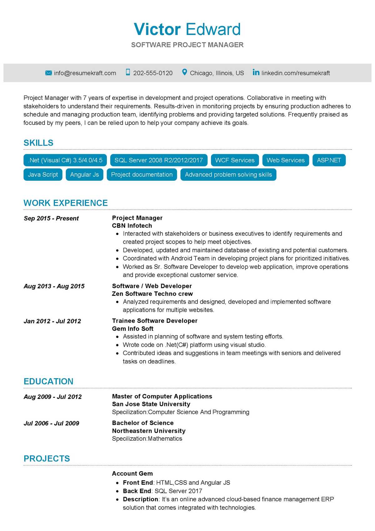 it project manager resume sample