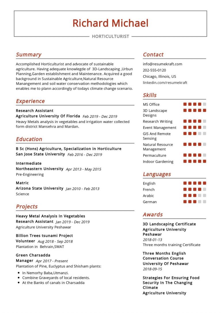 Creative Field Resume Examples 2023 - ResumeKraft