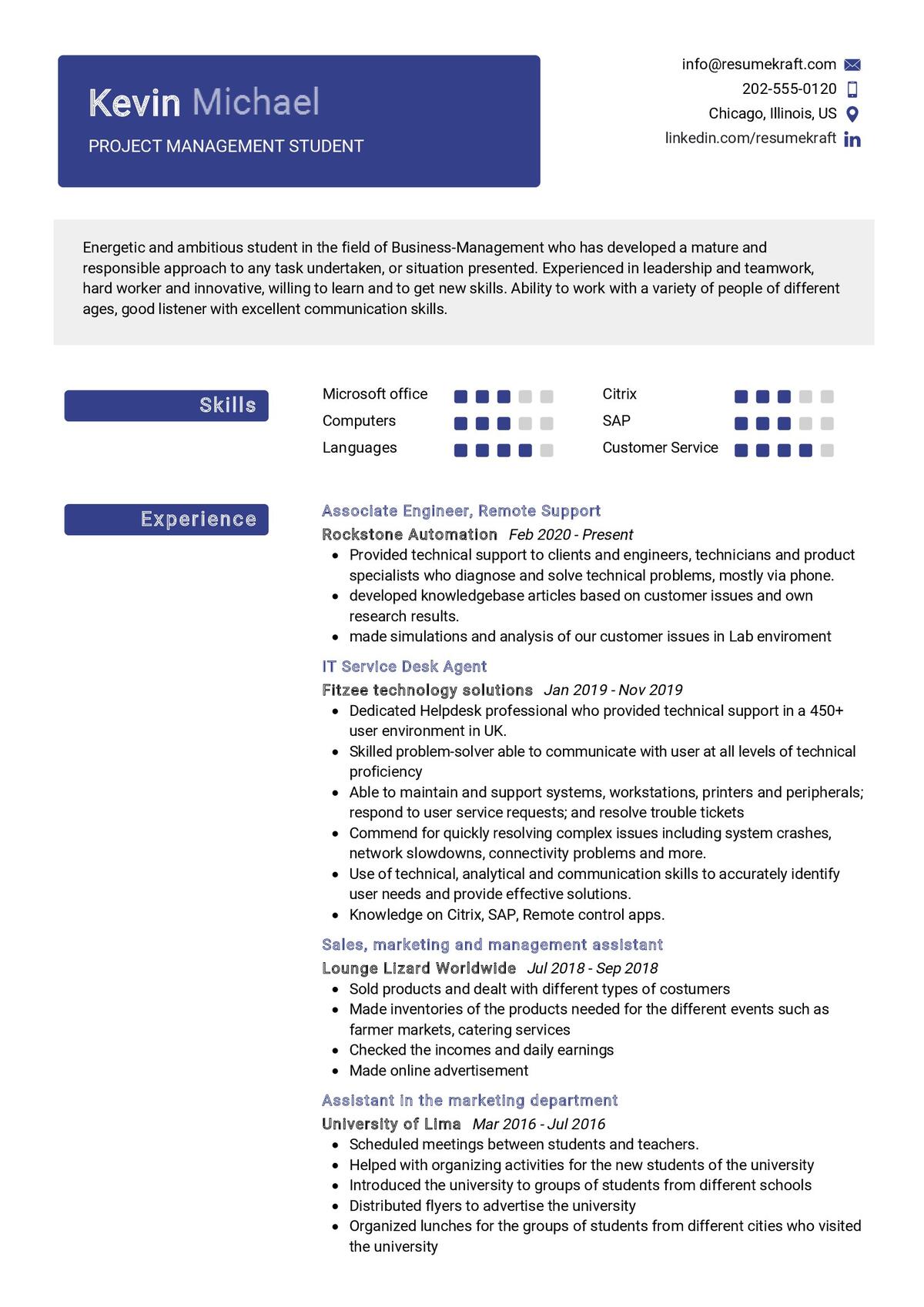 sample resume project manager