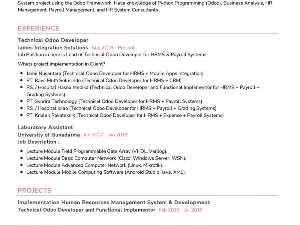 Technical Odoo Developer Resume