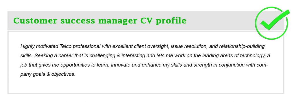 Customer success manager CV profile