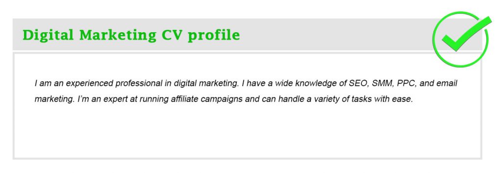 Digital Marketing CV profile