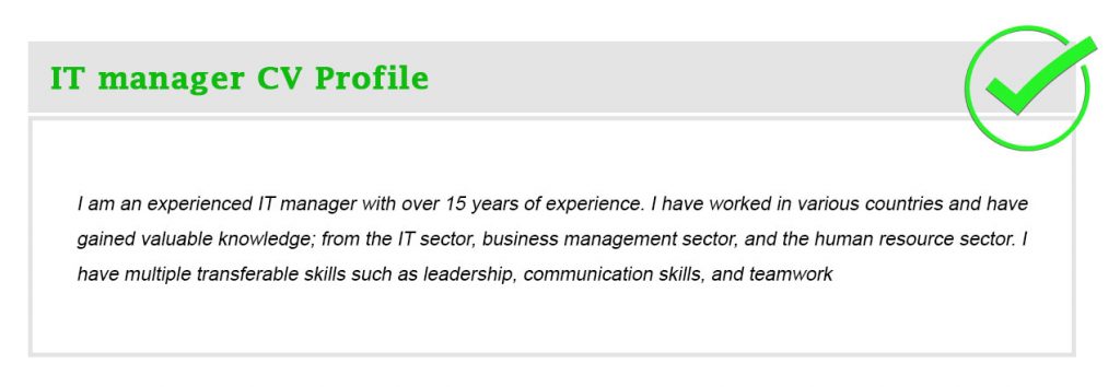 IT manager CV Profile