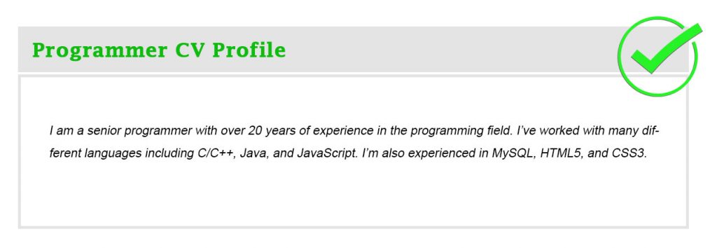 Programmer CV Profile