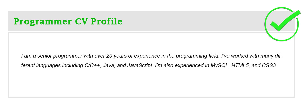 25+ Best CV Personal Profile Examples with Writing Guide 2024 - ResumeKraft