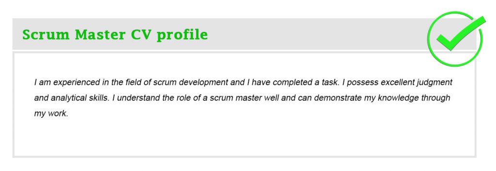 Scrum Master CV profile