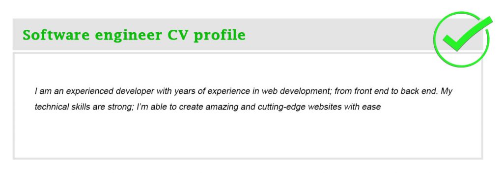  Software engineer CV profile