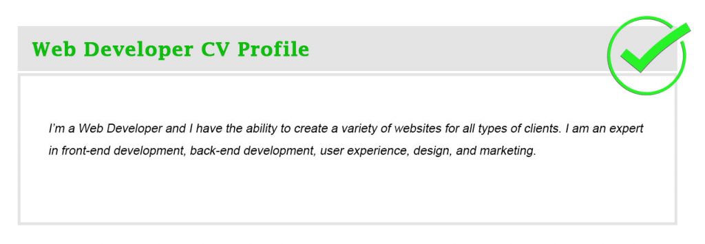 Web Developer CV Profile