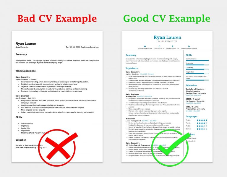 great cv examples