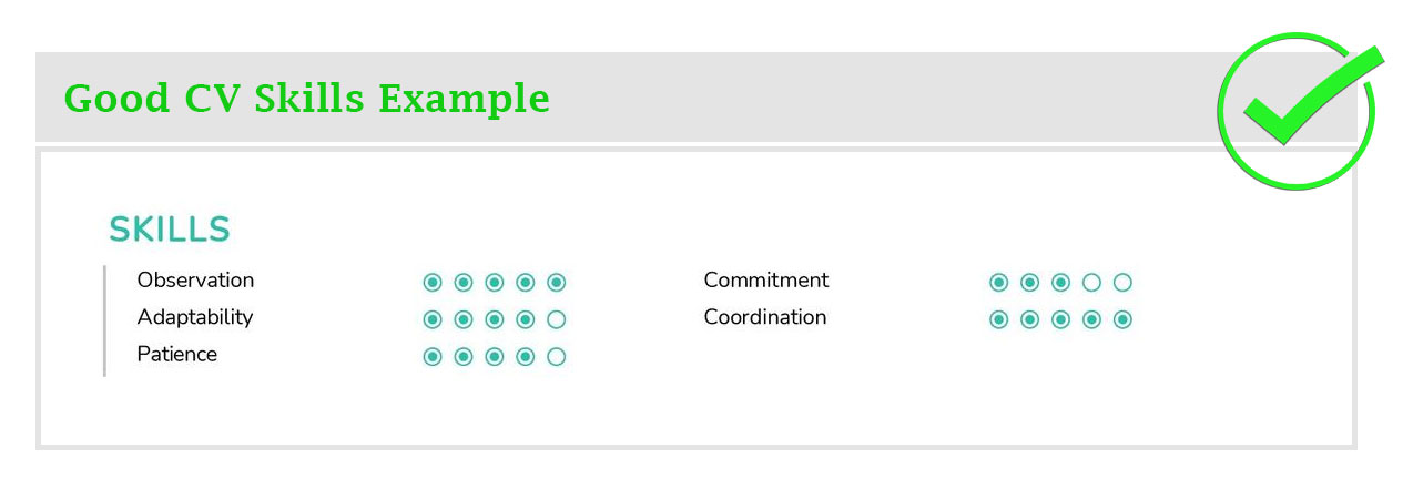 Good CV Skills Example