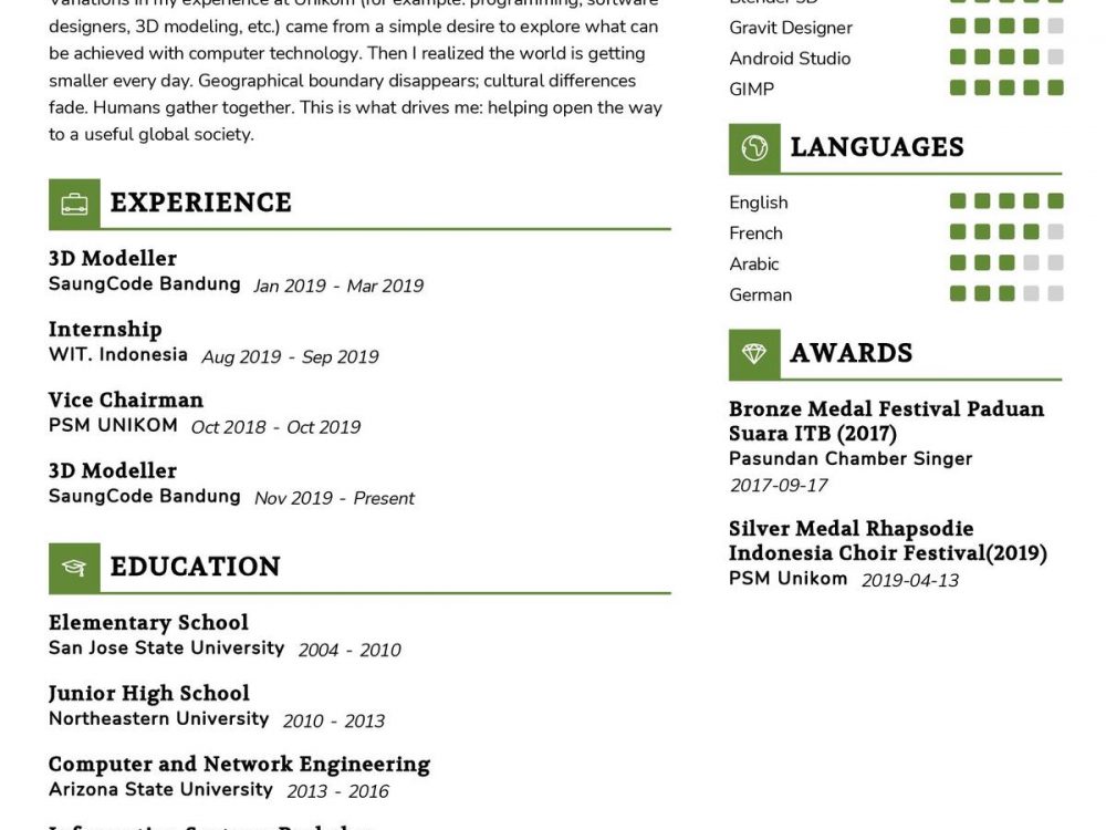 3D Modeller CV Template in 2024 ResumeKraft