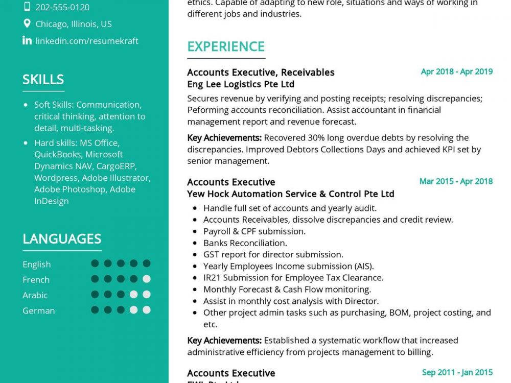 Accounts Executive CV Sample in 2024 - ResumeKraft