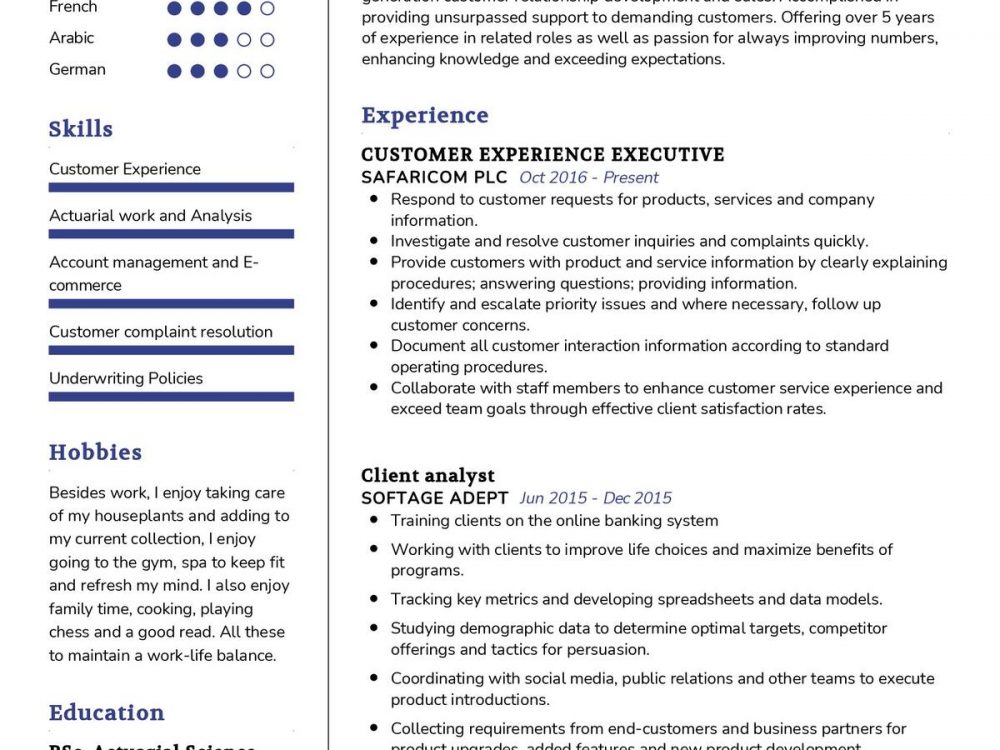 Customer Experience Executive CV Template